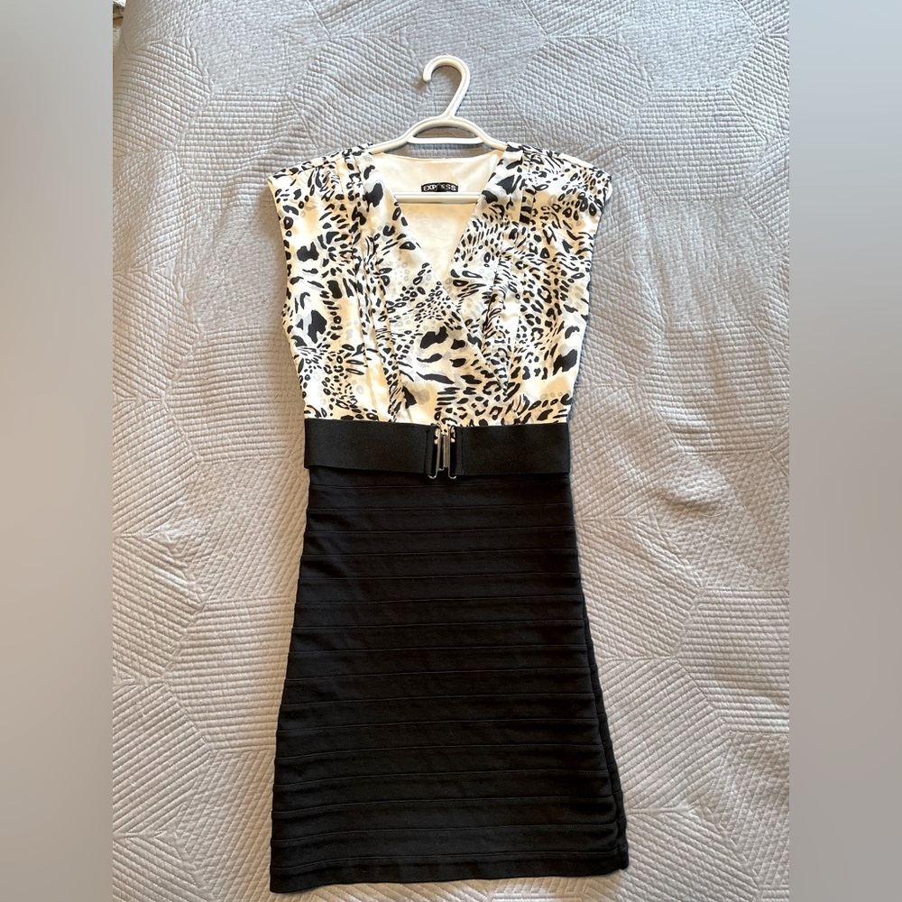 Express Leopard Dress with Belt